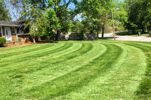 IDC Lawn Service Springfield TN