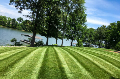 IDC Lawn Service Springfield TN