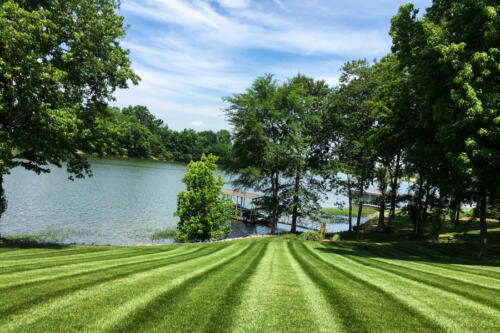 IDC Lawn Service Springfield TN