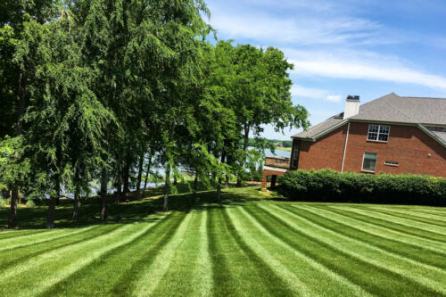 IDC Lawn Service Springfield TN