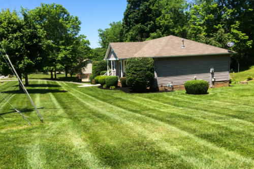 IDC Lawn Service Springfield TN