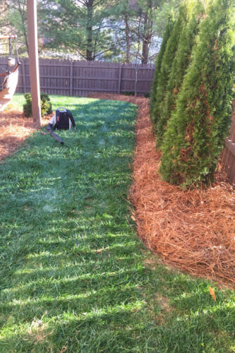 IDC Lawn Service Springfield TN