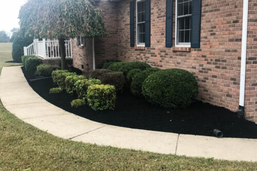 IDC Lawn Service Springfield TN