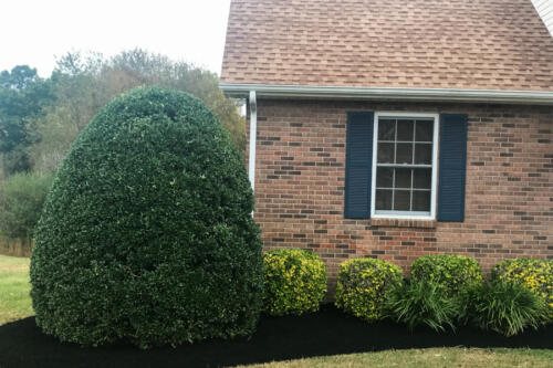 IDC Lawn Service Springfield TN