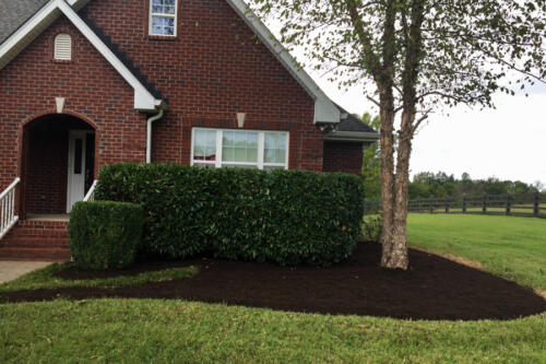 IDC Lawn Service Springfield TN